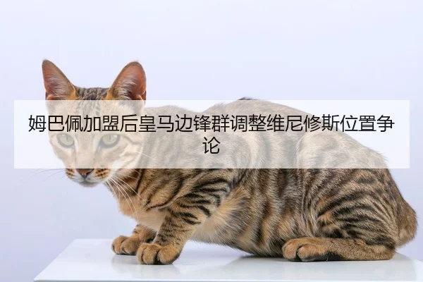 mu-ba-pei-jia-meng-hou-huang-ma-bian-feng-qun-tiao-zheng-wei-ni-xiu-si-wei-zhi-zheng-lun-1-117.jpg