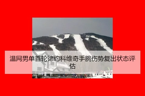 wen-wang-nan-dan-shou-lun-de-yue-ke-wei-qi-shou-wan-shang-shi-fu-chu-zhuang-tai-ping-gu-1-416.jpg